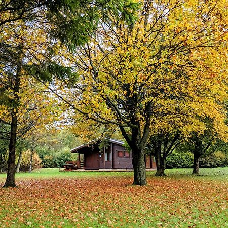 Pinecroft Lodges Ingleton  Ngoại thất bức ảnh